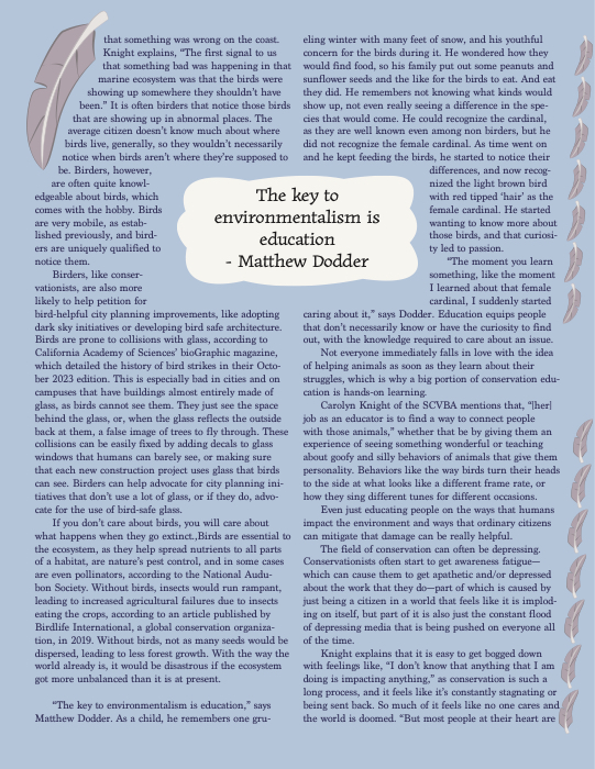 Article by El Baltz